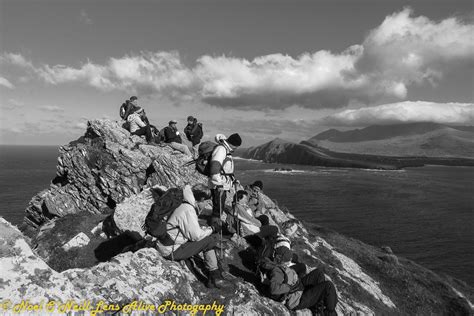 Dingle: 5035 .
